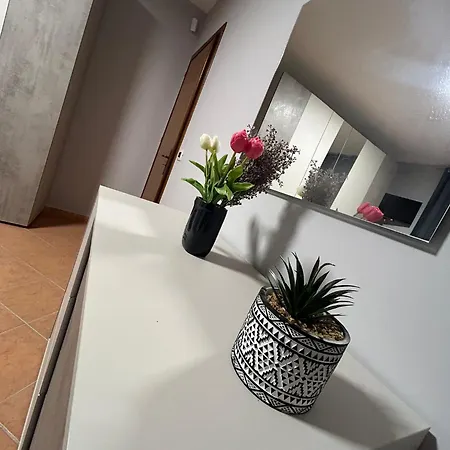 Enza House *